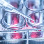 petri dish | stem culture offer