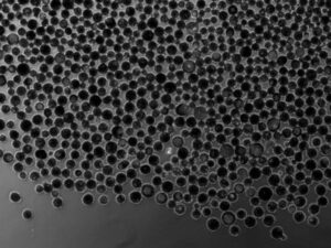 Image of StemBeads in solution