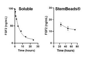how stembeads fgf2 enhances stem cell growth