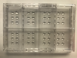 Stem cell growth factors biomanufacturing FGF2 DISCs