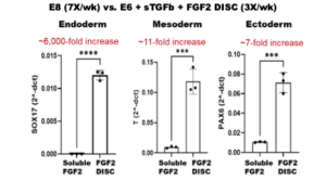 StemCultures FGF2 DISC Device effect on differentiation efficiency