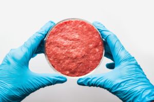 artificial meat stem cells