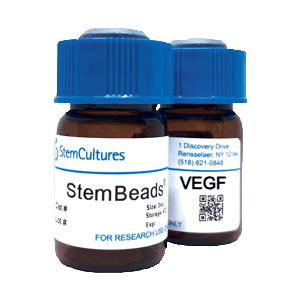 StemBeads VEGF