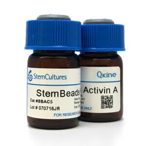 StemBeads Qkine Activin A