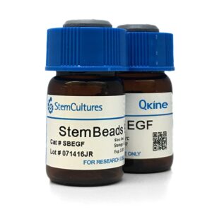 StemBeads Qkine EGF