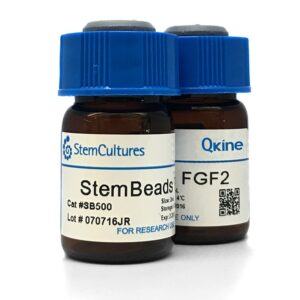 StemBeads Qkine FGF2 154 aa